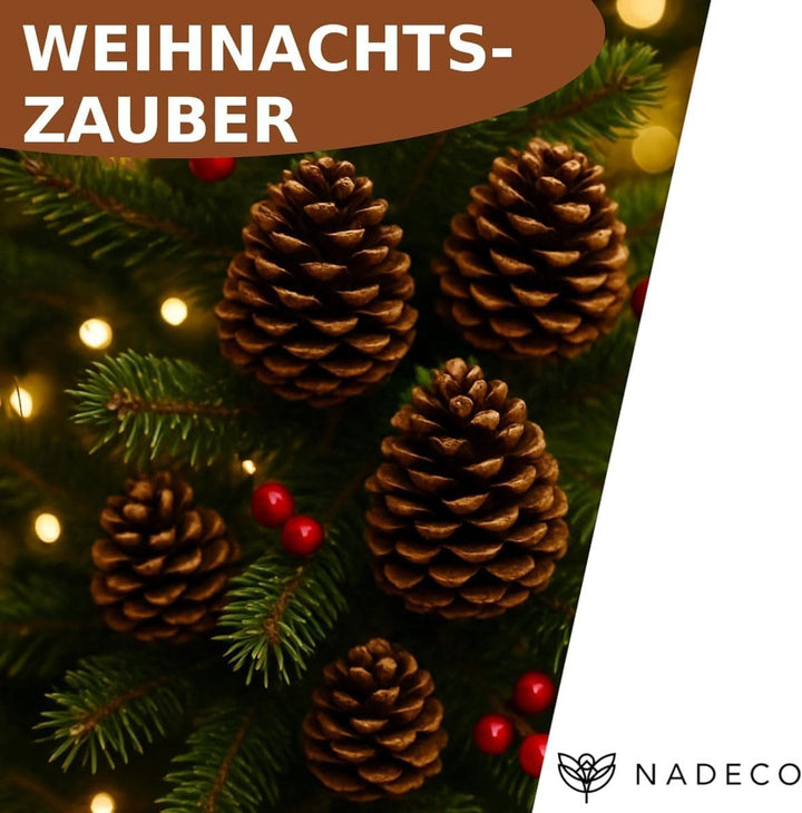 NaDeco Pinus maritima in Natur, 14-18cm, 20 Stück | Grosse Tannenzapfen | Kiefernzapfen | Weihnachts