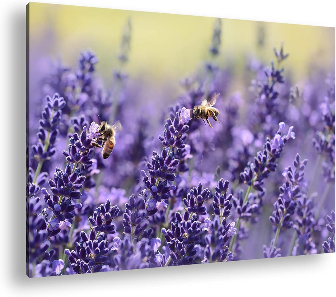 deyoli Bienen im blühenden Lavendel Format:90x60 cm als Leinwandbild, Motiv fertig gerahmt auf Echth