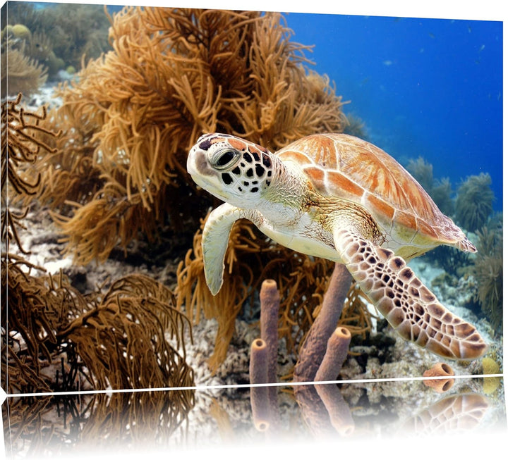 Meeresschildkröte Format: 100x70 auf Leinwand, XXL riesige Bilder fertig gerahmt mit Keilrahmen, Kun