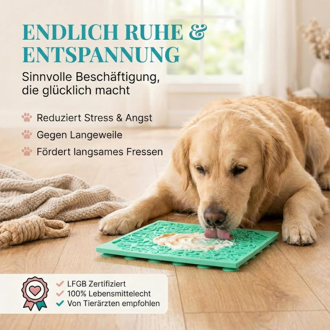 HUND IST KÖNIG® Leckmatte Hund mit patentierter Struktur + Saugnäpfe, Schleckmatte Hund 22x22cm [2 S