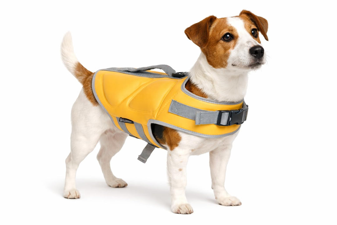 schwimmweste Hund - Flamingo Swimmy gelb - S A:26,5 cm B:38-41 cm C:50-58 cm - Polyester - EPE-Schau