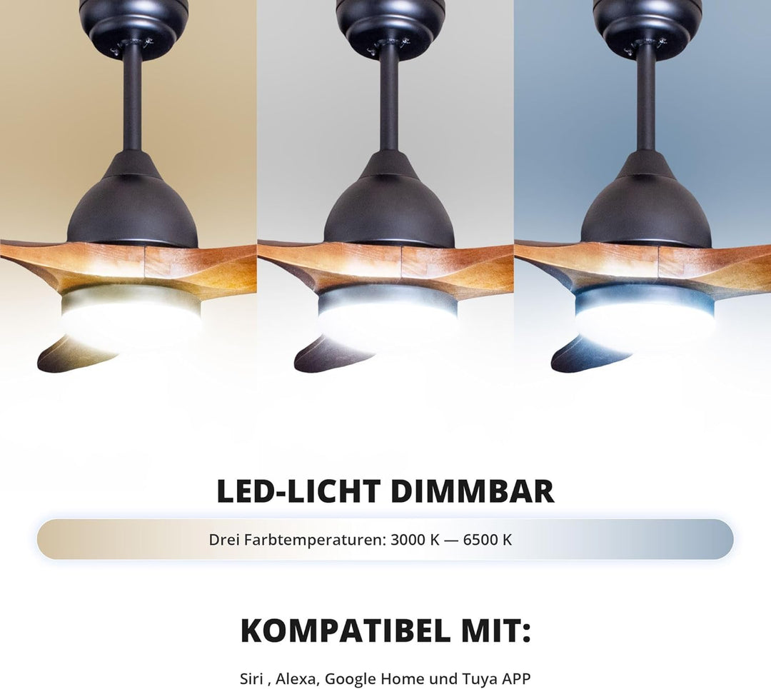 Eclipse Deckenventilator mit Beleuchtung, Leise mit 6 Windstufen, App und Fernbedienung, Sommer und