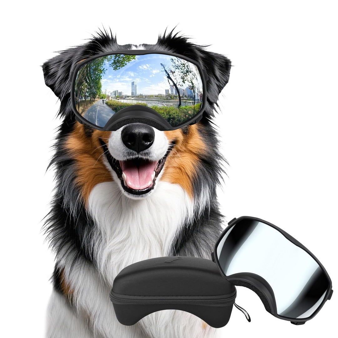 Hundebrille Winddichte Hunde Sonnenbrille Hund Schutzbrille mit Verstellbare Band Geeignet für Mitte