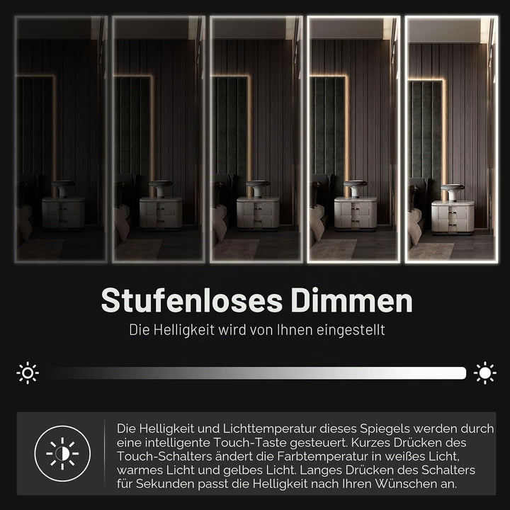 CASSILANDO Voller Länge Spiegel mit Lichtern, 160 x 50cm LED Bodenspiegel, Ganzkörper Ankleidespiege