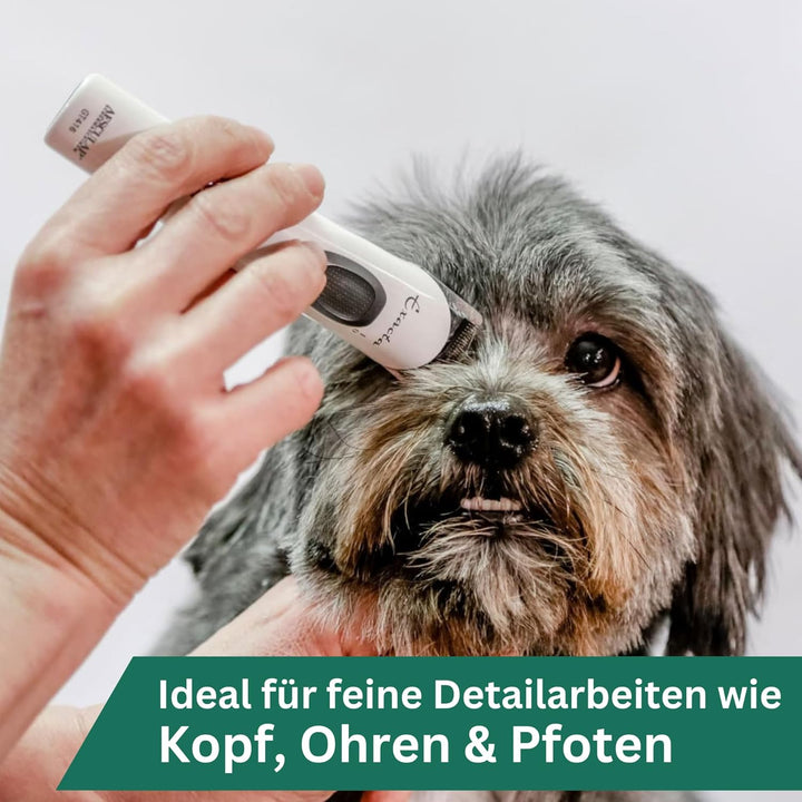 Agrarzone Edition Aesculap Exacta Hundeschermaschine weiss - Inklusive Ersatz Scherkopf - Pfotentrim