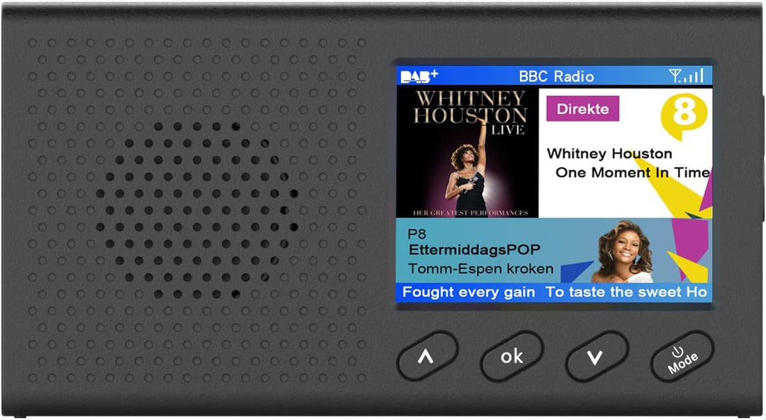 DAB/DAB + Digital und FM Radio, Baceyong Portable Wireless DAB Radio MP3 Music Player für Angeln Cam