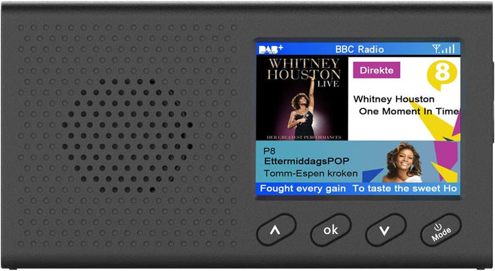 DAB/DAB + Digital und FM Radio, Baceyong Portable Wireless DAB Radio MP3 Music Player für Angeln Cam