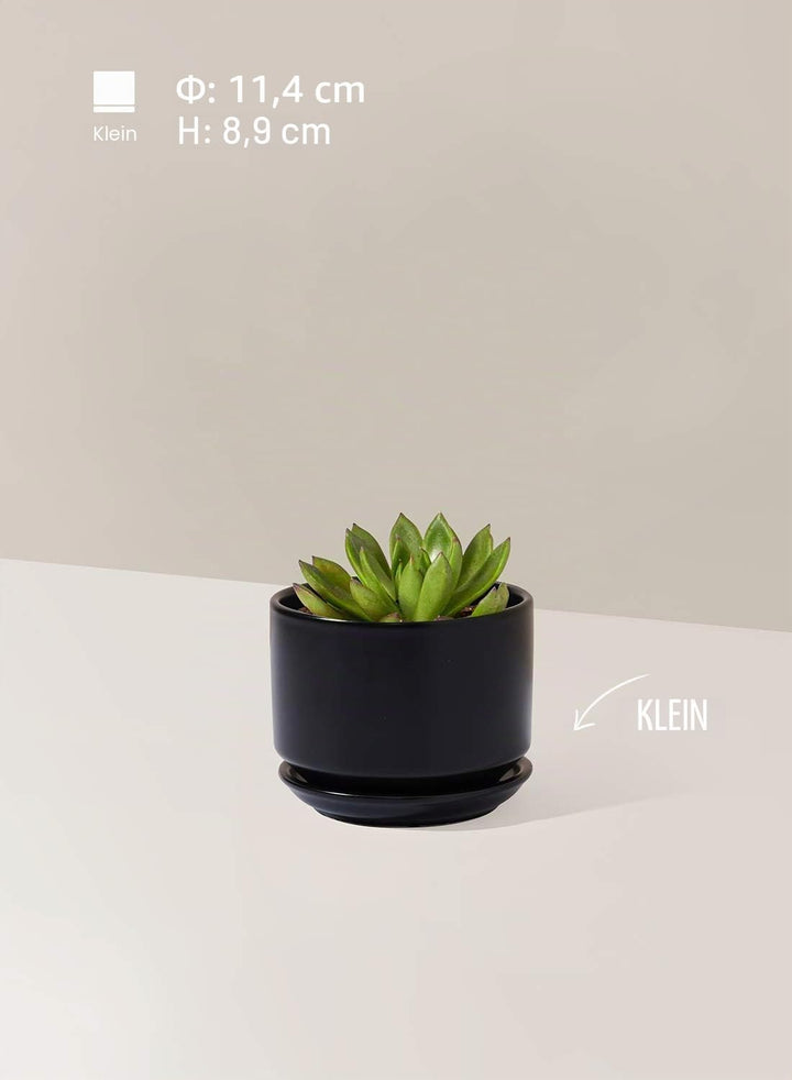 LE TAUCI 3er Pack Keramik Blumentöpfe, 11+13+17 cm Durchmesser Klein Übertöpfe Set, Blumentopf für Z
