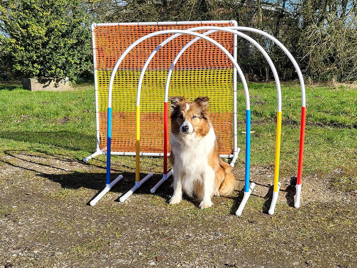 Generisch HOOPERS Agility Combi - Set / 1 Gate / 3 Hoopers Bögen/Gatter/Trennzaun, Hoopers Bogen/aus