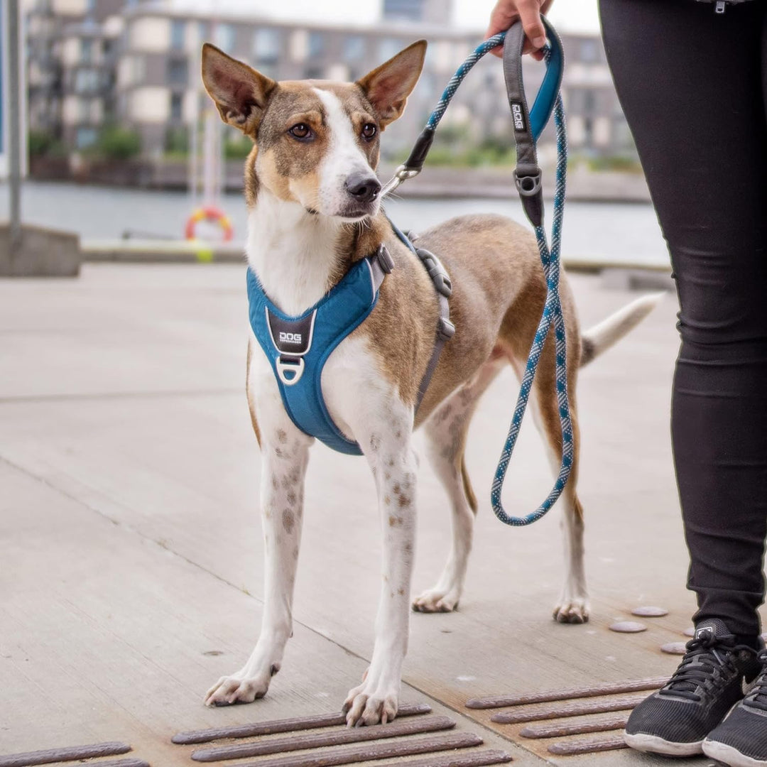 DOG Copenhagen Schleppleine, Urban Rope Leash - Grösse S - Classic Red S Classic Red, S Classic Red