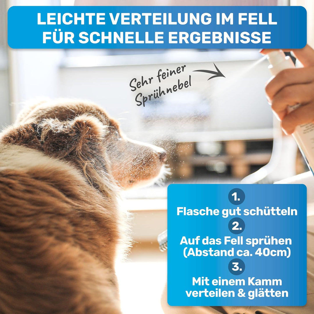 BluePet 200 ml Entfilzungsspray für Hunde &amp; Katzen I Löst Verfilzungen &amp; Verbessert Kämmbarkeit, Ant