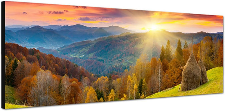 Paul Sinus Art Panoramabild auf Leinwand und Keilrahmen 150x50cm Herbstlandschaft Wald Wiese Sonnenu