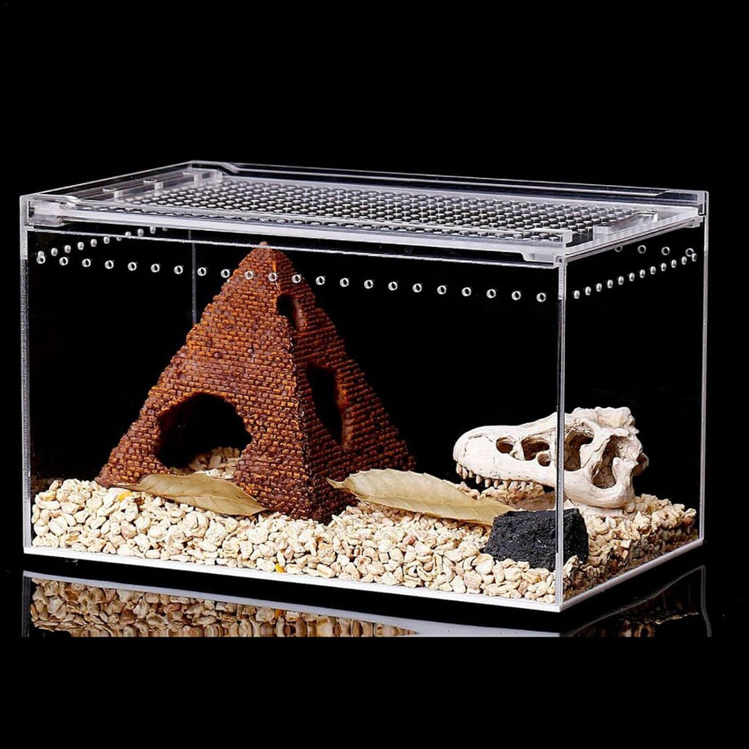 Durchsichtige Reptilienaufzuchtbox, Acryl Reptilienfutterbox, Futterbox Für Insekten Reptilien Vogel