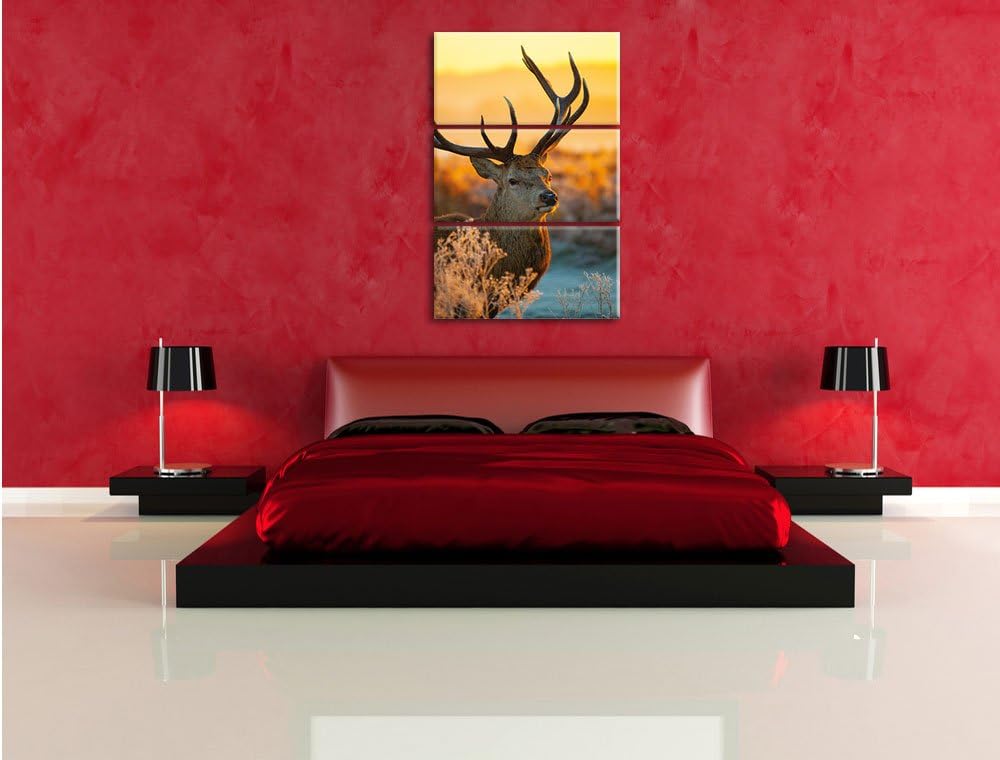 Pixxprint Stolzer Hirsch auf Wiese als Leinwandbild/Grösse: 3 Teilig (120x80) cm/Wandbild/Kunstdruck