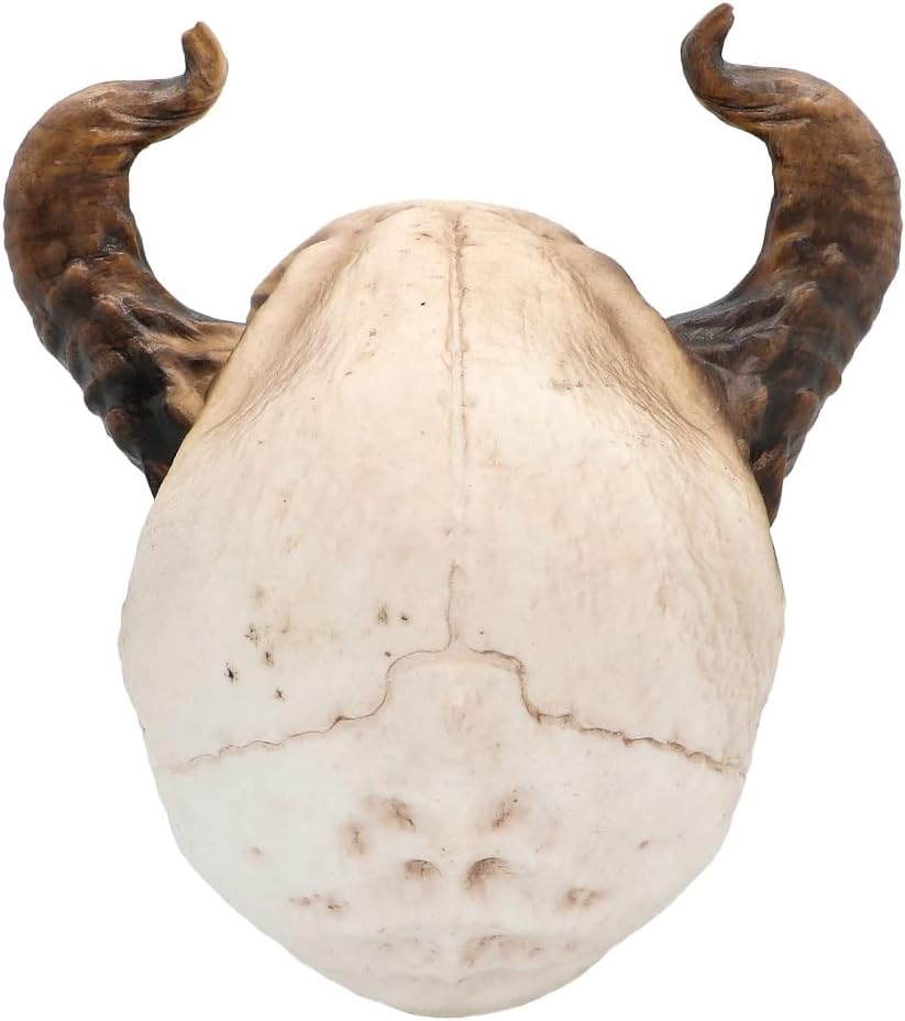 Boland 73082 - Totenkopf Teufel Deko, 20 cm, Dekofigur, Schädel mit Hörnern, Dekoration, Halloween D