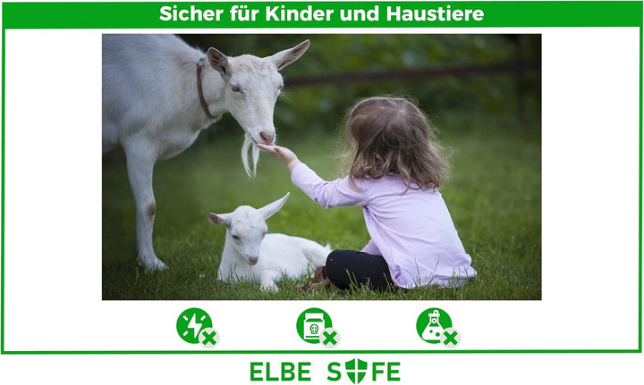 Elbe Safe Lebendfalle, Marderfalle, Katzefalle, Hundefalle, 80 x 29 x 32 cm, wetterfest, leicht zu r