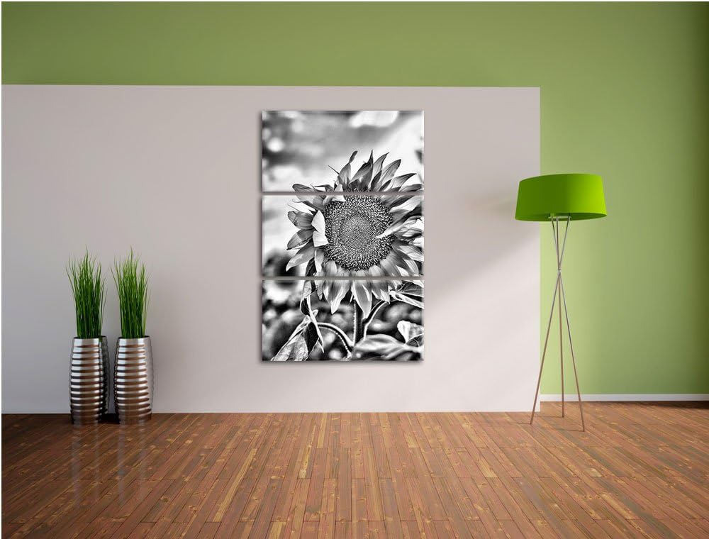 Pixxprint Monocrome, Sonnenblumen Sonnenblumenfeld Sonnenblumenkerne Sonnenschein 3-Teiler Leinwandb