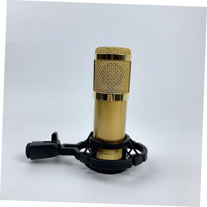ibasenice Gold Bm-800 mit Doppellagigem Netzdesign, Kondensatormikrofon