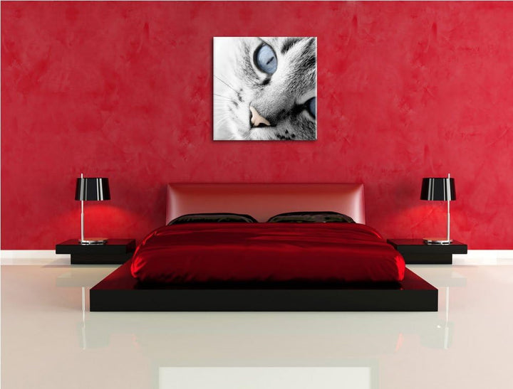 Pixxprint schöne Katzenaugen als Leinwandbild/Grösse: 70x70 cm/Wandbild/Kunstdruck/fertig bespannt,