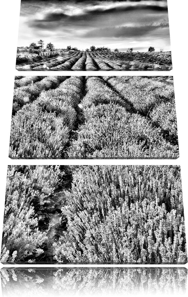 Pixxprint Lavendelfeld Provence als Leinwandbild/Grösse: 3 Teilig (120x80) cm/Wandbild/Kunstdruck/fe