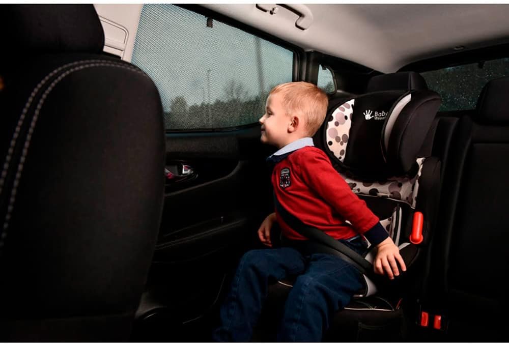 Satz Car Shades (Hintertüren) kompatibel mit Volkswagen Touareg 2018- (2-teilig)