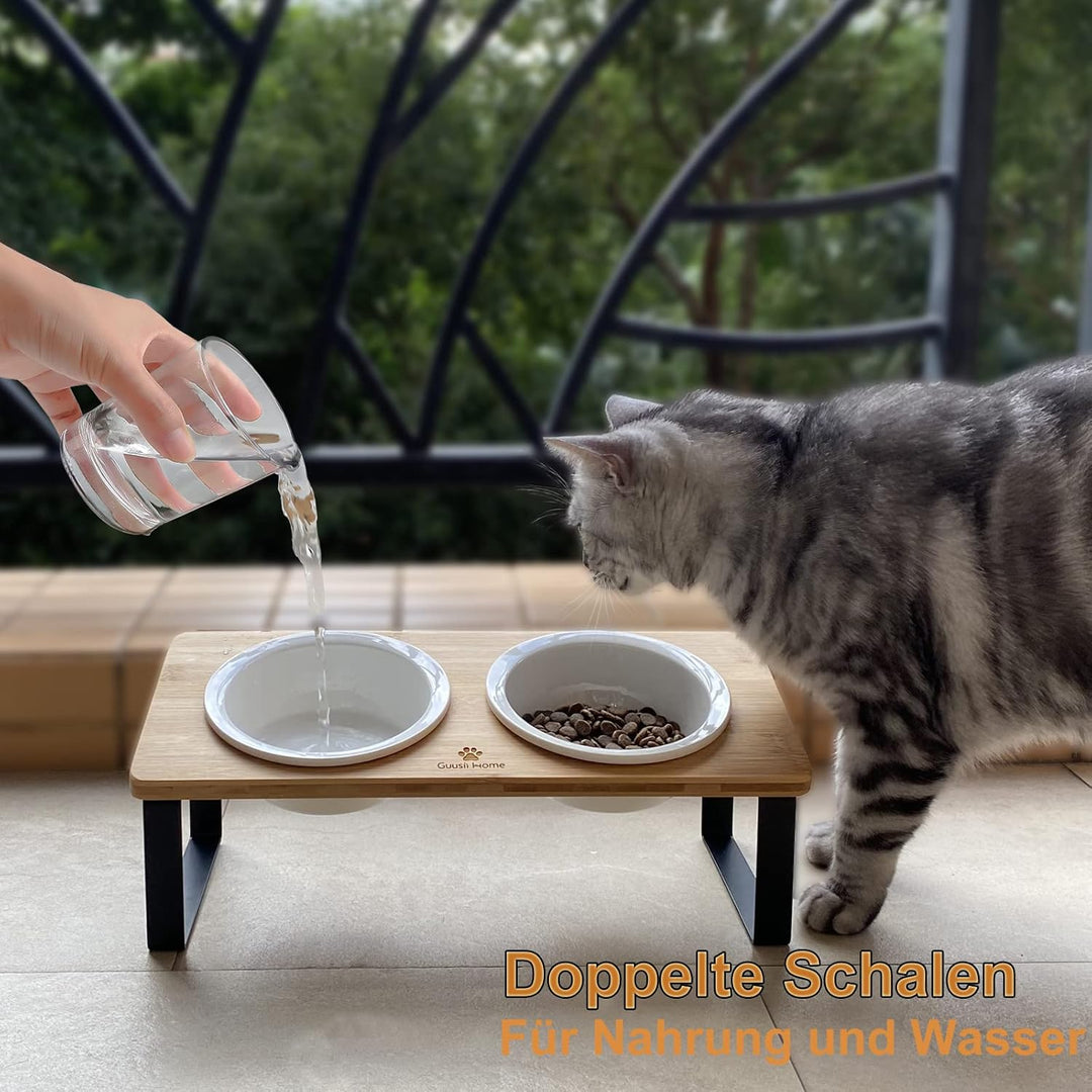 Futterstation Katzen Erhht | Katzen Fressnapf Katze Erhht | Ergonomi   techstudio.ch