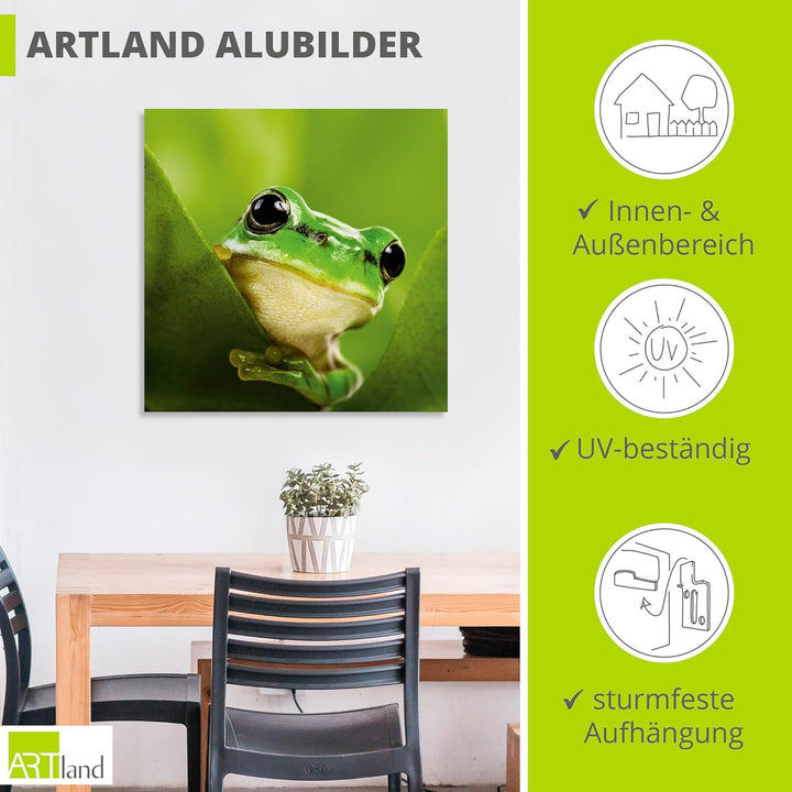 ARTland Wandbild Alu Verbundplatte für Innen & Outdoor Bild 40x40 cm Frosch Tiere Pflanze Natur Süss