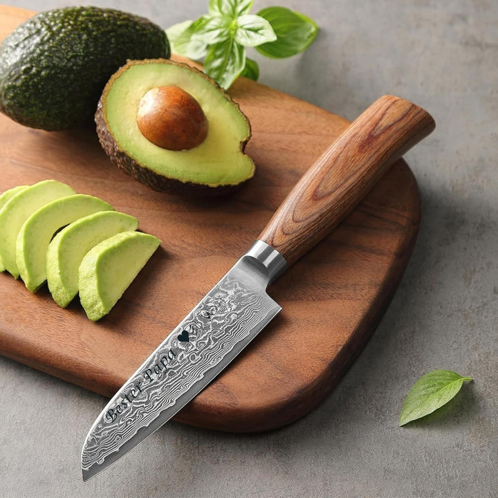 Wakoli EDIB Pro Premium Santoku Messer klein mit Klingen Gravur mit 11 cm Klinge gefertigt aus 67 La
