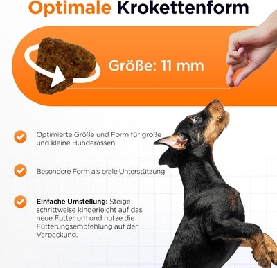 Hypoallergen | Getreidefreies Hundefutter trocken | Lamm & Reis | Magen schonend für ernährungssensi