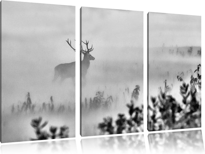 Pixxprint Hirsch im Nebel als Leinwandbild | Grösse: 3 Teilig (120x80) | Wandbild| Kunstdruck | fert