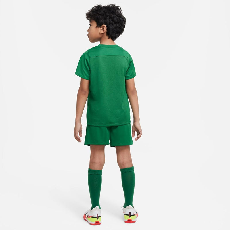 Nike Kinder Dry Park 20 Trikot Set, Pine Green/Pine Green/White, M