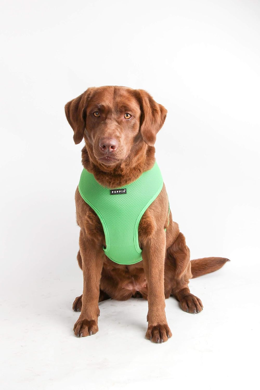 Puppia Hundegeschirr für kleine und mittelgrosse Hunde - super weich in vielen Farben - Auch als Wel
