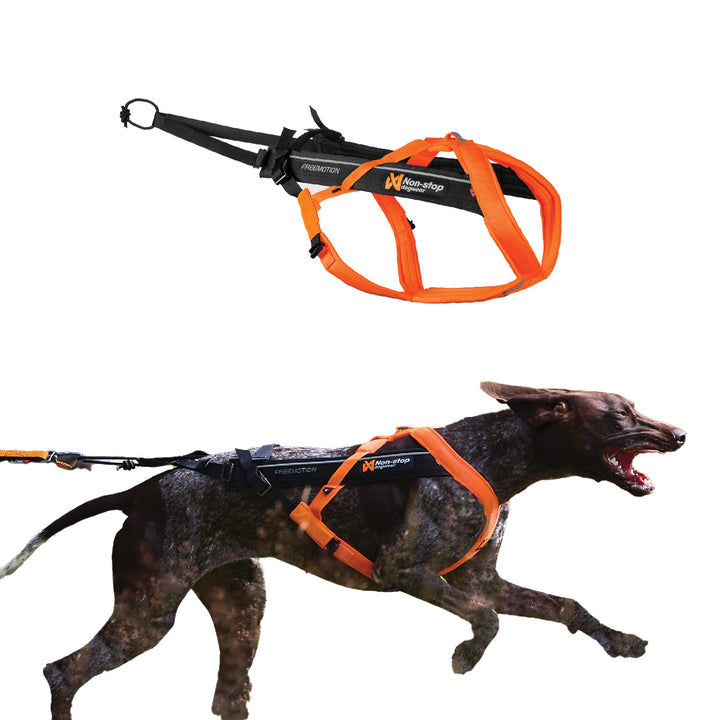 Non-Stop dogwear Freemotion Harness 5.0 | Hunde-Geschirr für alle Sportarten, Grösse:Grösse 8 schwar