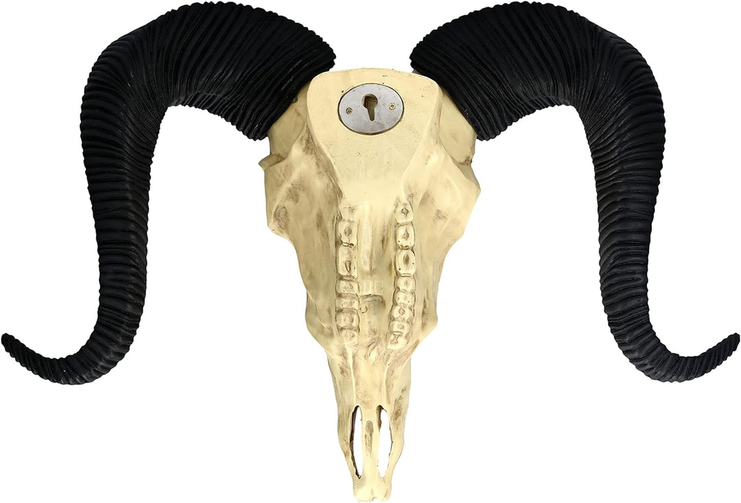 Pacific Giftware Wandrelief Widderschädel gross 49 cm | Western Deko Totenschädel Wand Trophäe Stier
