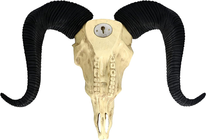 Pacific Giftware Wandrelief Widderschädel gross 49 cm | Western Deko Totenschädel Wand Trophäe Stier