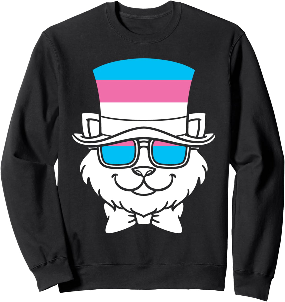 Transgender Katze Trans Pride LGBT Geschenk Transsexuell Sweatshirt