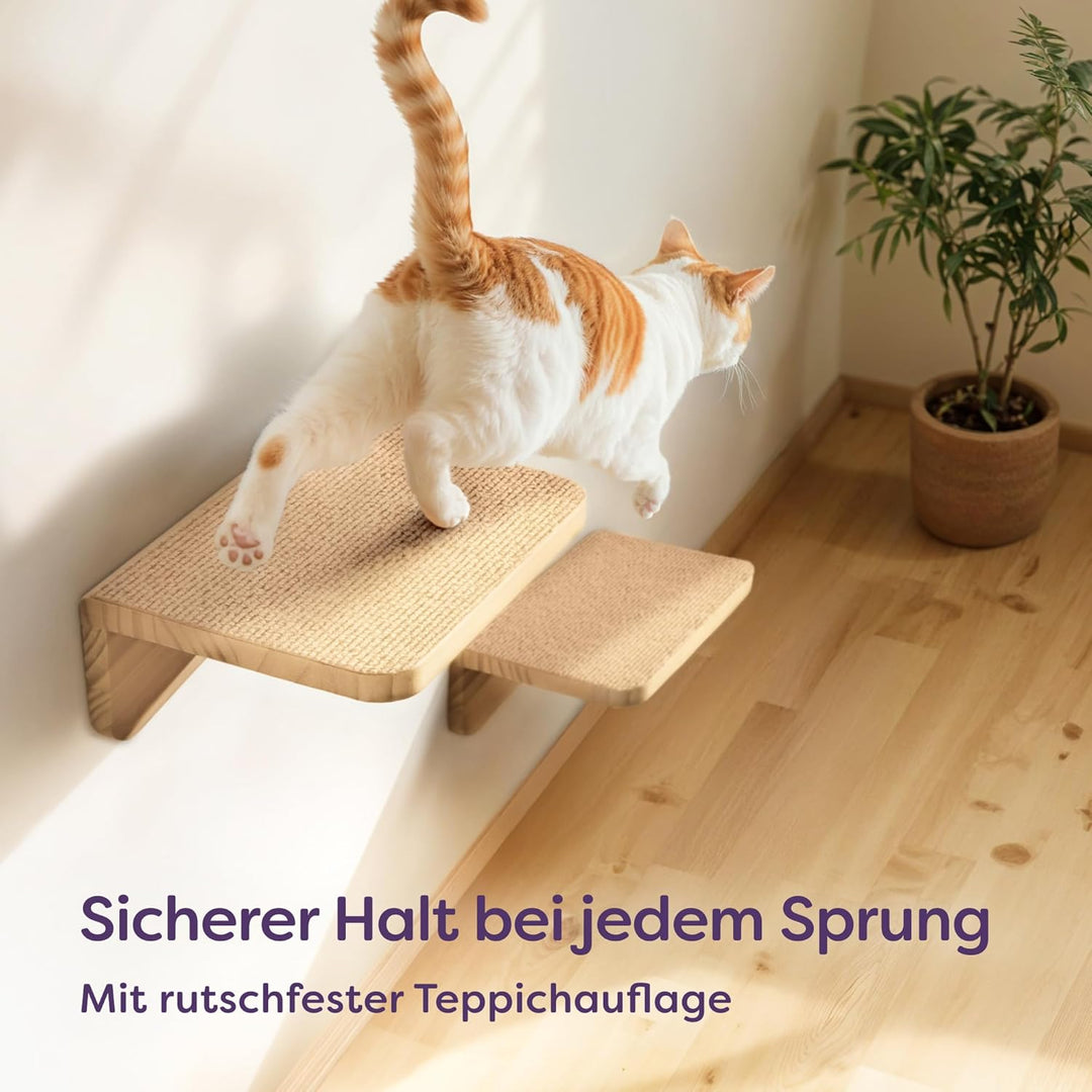 Katzen Kletterwand Set mit Katzenbett & 2X Katzentreppe – Massives FSC® Kiefernholz, Stabile Wandlie