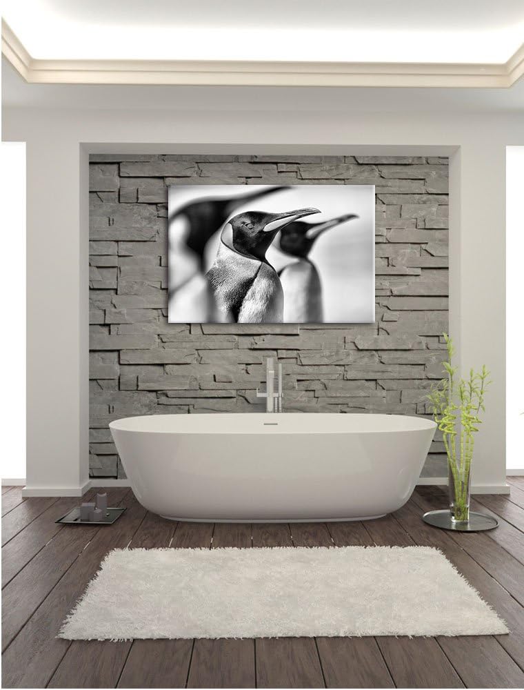 Monocrome, Pinguine, Format: 100x70 auf Leinwand, XXL riesige Bilder fertig gerahmt mit Keilrahmen,