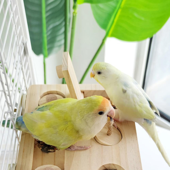 Vögel Futtersuchpuzzle Holz, Interaktives Sittiche Futterspielzeug mit Lernfunktion zum Trainieren u