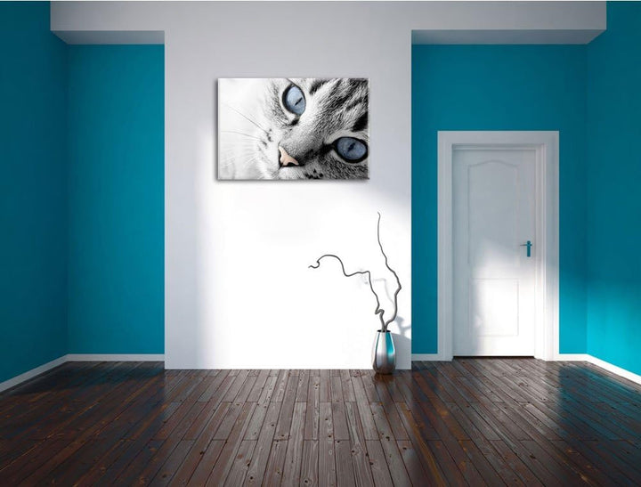 schöne Katzenaugen schwarz/weiss Format: 100x70 auf Leinwand, XXL riesige Bilder fertig gerahmt mit