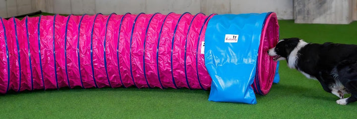 Callieway® Dog Agility Tunnel Profi Hunde Tunnel Agility Gerät (Stützsandsäcke bereits inklusive) (5