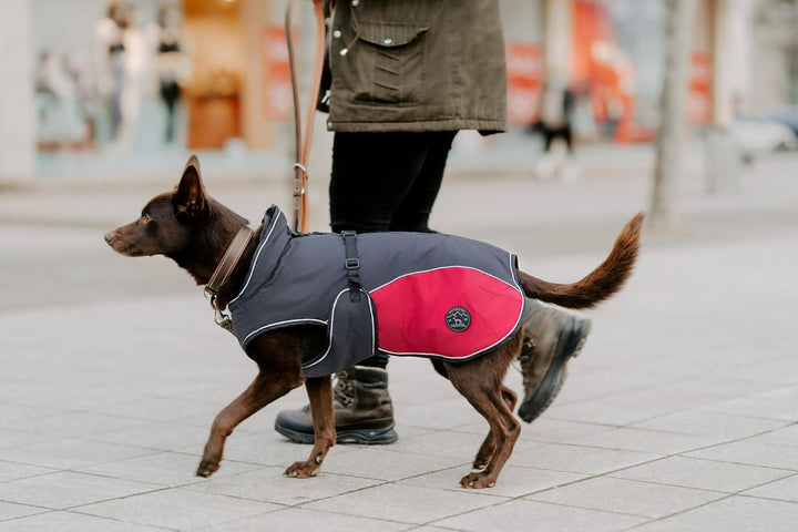 Hunter UPPSALA ALLROUNDER Hundemantel, 2-in1, herausknöpfbares Fleece-Futter, wasserabweisend, 40, a