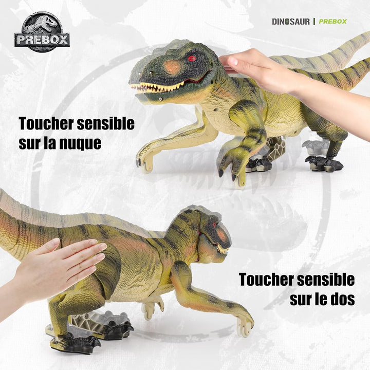 PREBOX Ferngesteuerter Dinosaurier Spielzeug für Jungen, RC Dino Roboter mit Brüllen, Sprühfunktion,