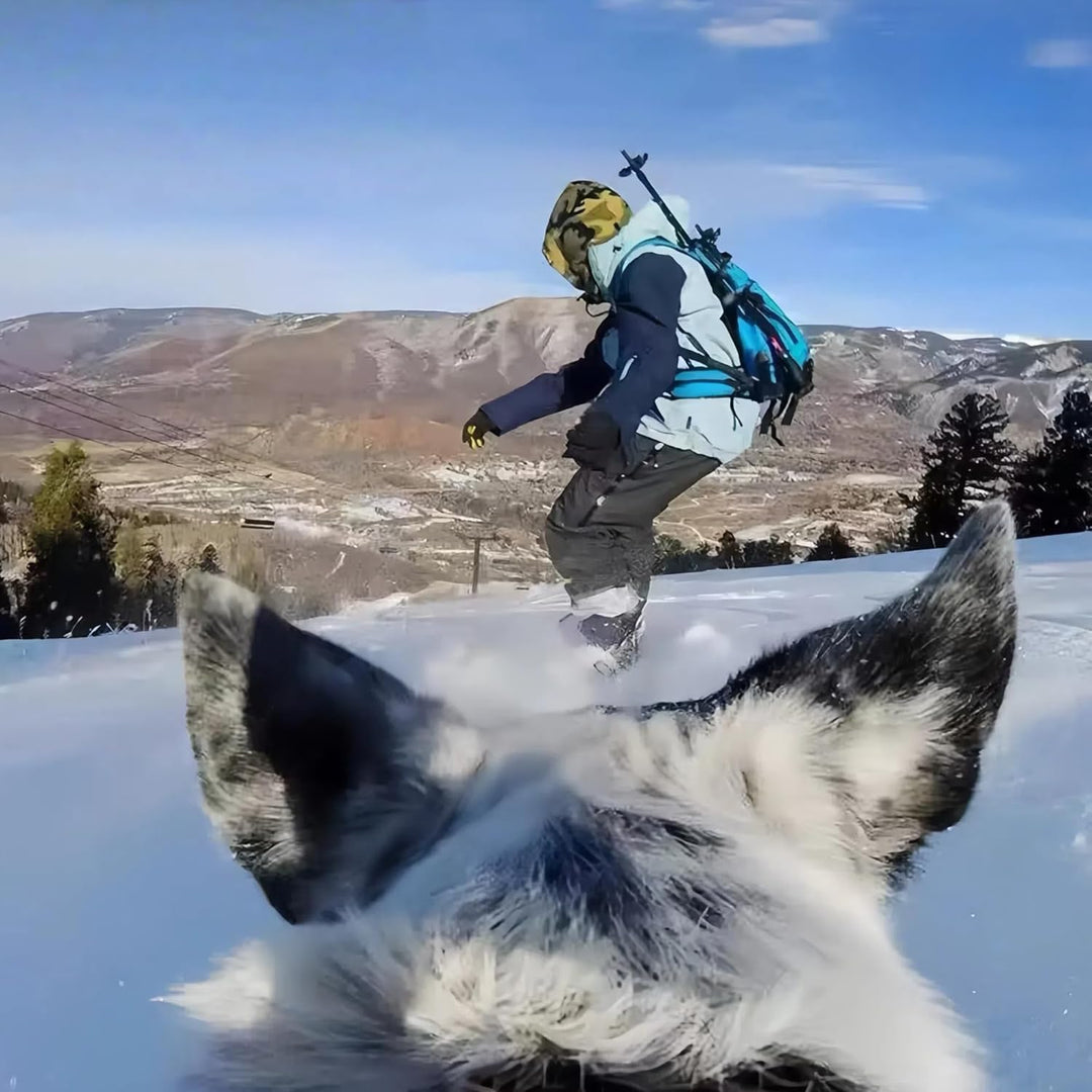 Haustier Geschirr für GoPro, Hundegeschirr für GoPro 13 12 11 10 9 8 7 Insta360 X5 X4 X3 Go3s DJI Os