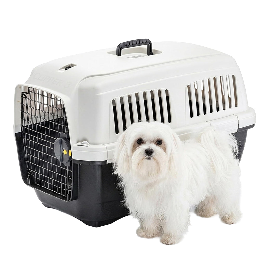 Ferplast Katzentransportbox Clipper 3, Hundetransportbox, IATA-zugelassene Reisebox, Haustiertranspo