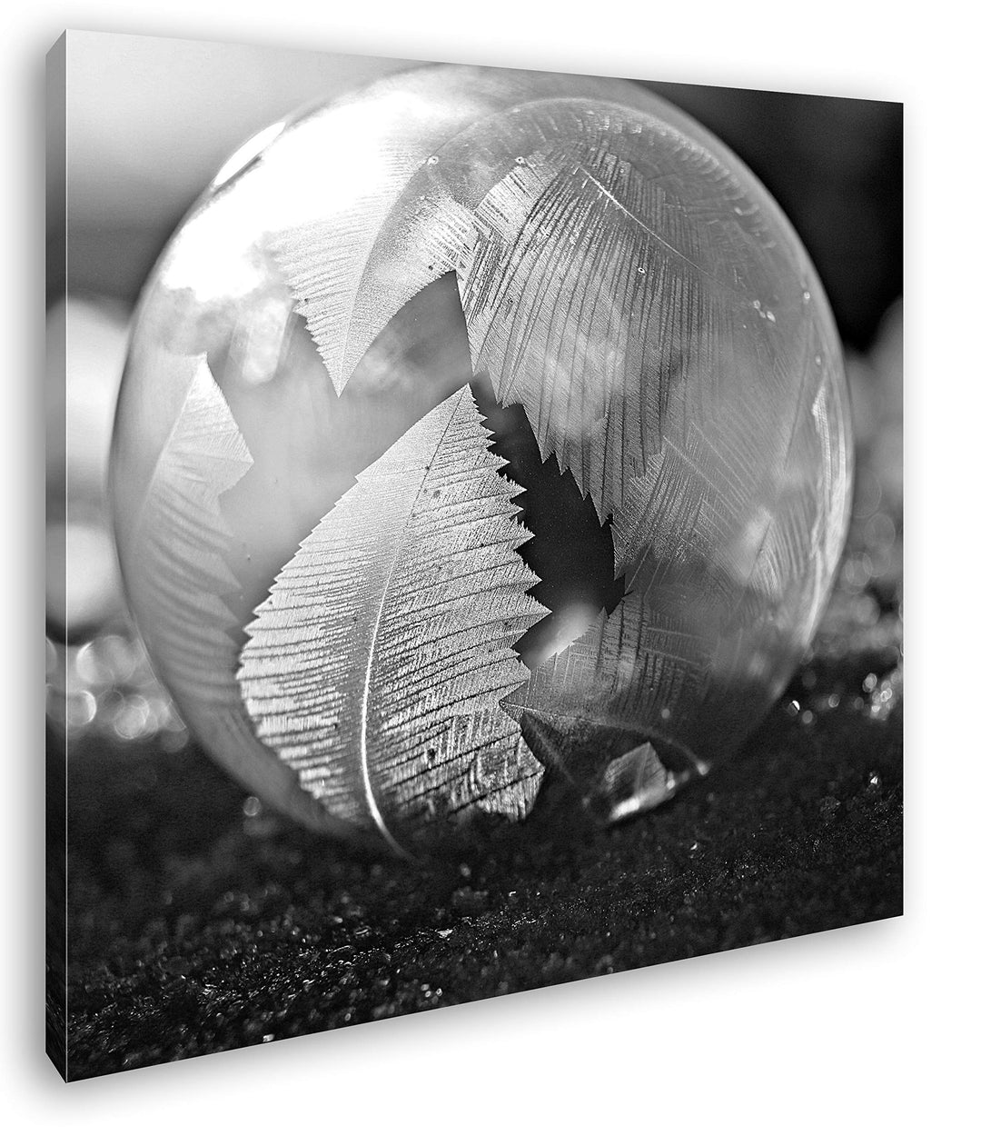 deyoli Gefrorene Seifenblase Format: 70x70 Effekt: Schwarz&Weiss als Leinwandbild, Motiv fertig gera