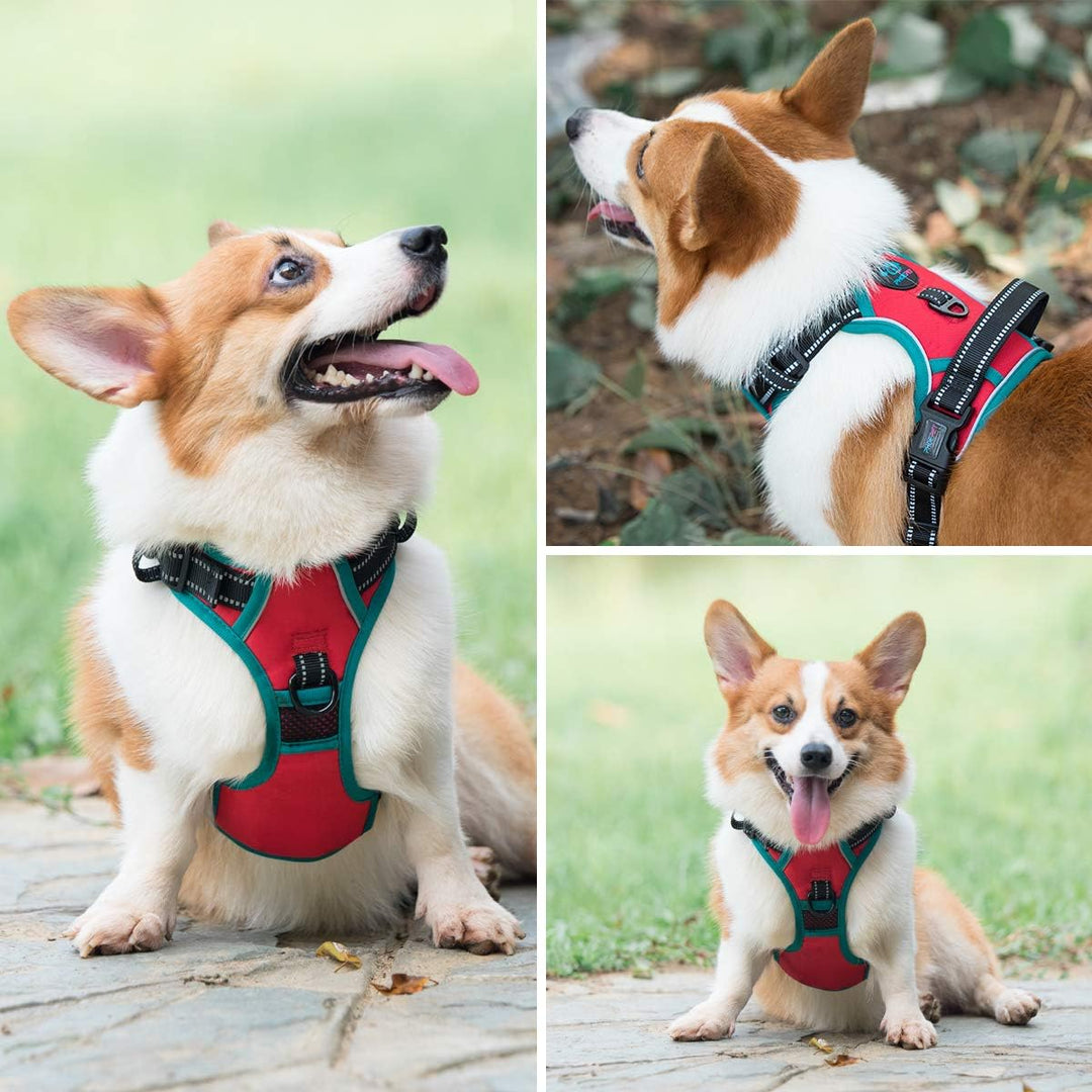 PHOEPET 2019 Anti-Zieh-Hundegeschirr, verbessert, reflektierend, verstellbar, mit Trainingsgriff, 2