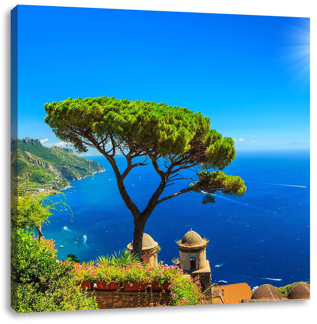 baum am blauen meer, Format: 70x70 auf Leinwand, XXL riesige Bilder fertig gerahmt mit Keilrahmen, K