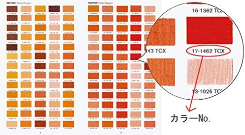 Pantone FHIC200A Cotton Passport – Baumwoll-Farbreferenz im tragbaren Ziehharmonika-Format im Folio-