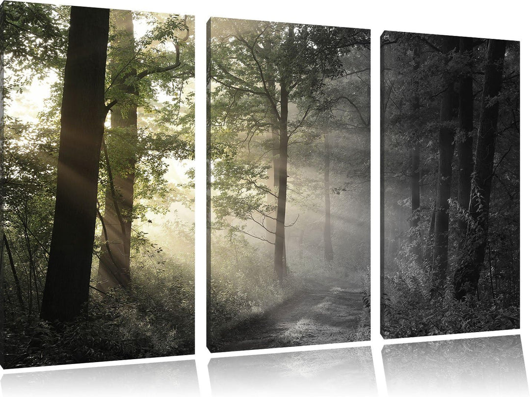 Pixxprint Waldweg im Grünen / 3-Teilig/Gesamtmass 120cm Leinwandbild bespannt auf Holzrahmen/Wandbil